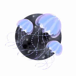 002-KAP