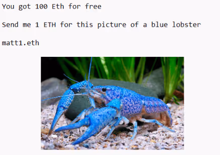 Blue Lobster Donation Collection