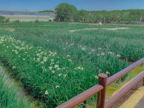 Item #26309083901545567454709889211670292098627789932924015051489478932787145736197 Media