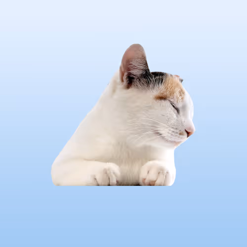 Peaches #29