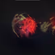 84457744602723809043049191225279009657327463478214710277063869535920104407041