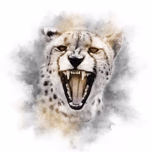 The Animal Kingdom Collection