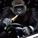 95560929656620222463680363209073245917778991963760186210087673657739175788545