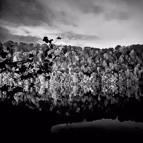 19841423673673061120678522492980359232702795421164906781459419154796370722817