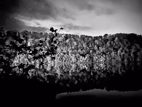 Item #19841423673673061120678522492980359232702795421164906781459419154796370722817 Media