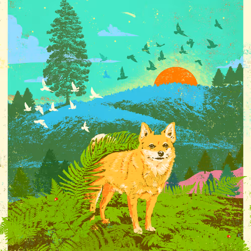 Showdeer Editions