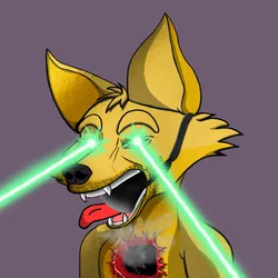 Cunning Fox 12762
