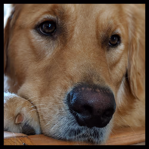 Item #106495276592435919470568425369488009874844936823784433162656833195156663435265 Media