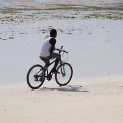 MSM - Zanzibar, Africa #20