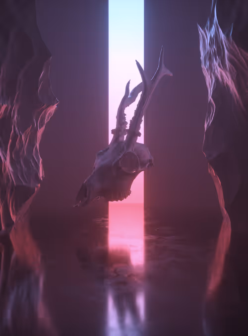 Item #53860806071619374262207323585839526330957309364540848159516491272144635822081 Media