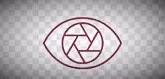 Logo Collection 273033840