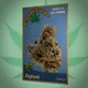 CannaCard #05- Afghani - Series#01 Old School