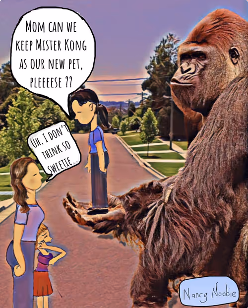 Item #67013055582839340258181358696372331794906403894798308021420211938407022067713 Media