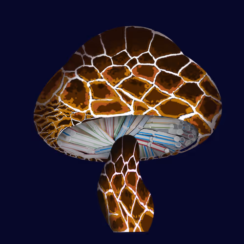 Item #46034849265832991985054005845495595569977159826723230396281255799862027354113 Media