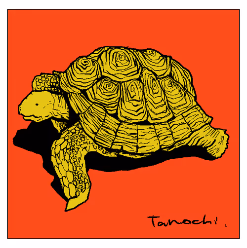 Item #112440547499717604048536072211740983446434024043436652955614128743590775488513 Media