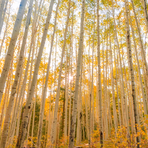 Colorado Lanscapes #18