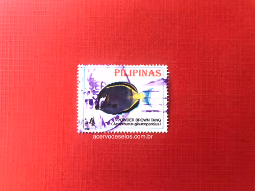 Item #20597586626667959385800891861414849022288511145256085744500515445121273036801 Media