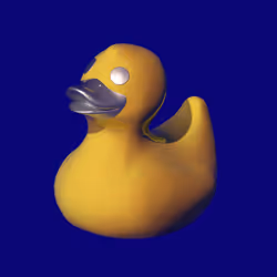Duck #214