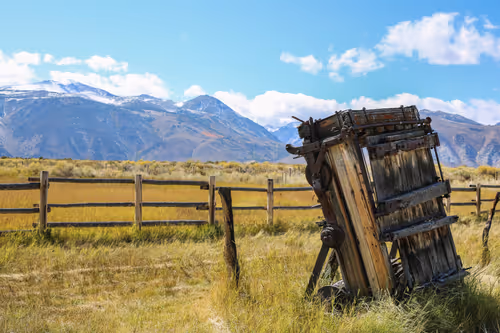 Item #78420104224504252761784405730569528832936272128175311031876244292483049062401 Media