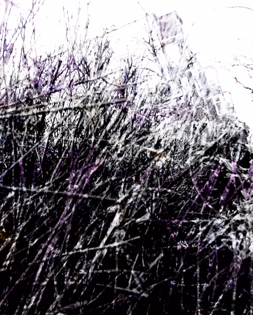 Item #58312433631864427601172952075011378080943056977712016653169188455537369415681 Media