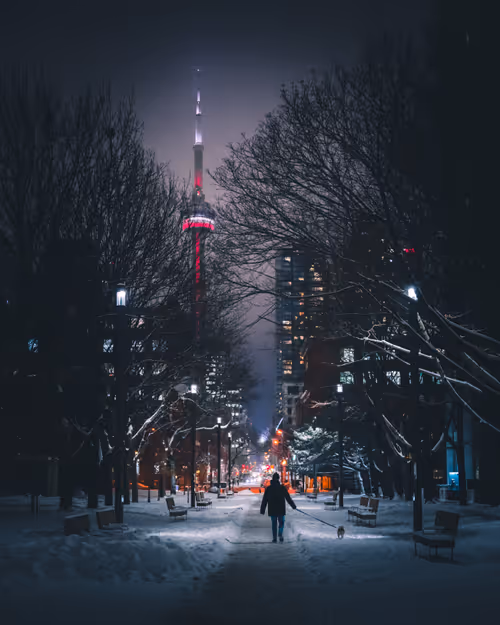 Item #25828147237821198195018353565513715926828886605696715423323237733261440450561 Media