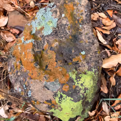 Rock #2
