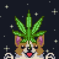 97015108489784584210647874118774692548675689293191485220473298761687664427009