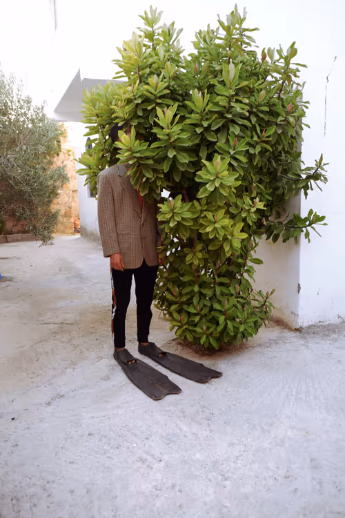 Item #4513353140435915256927038014390726780334549173447047818238800771157929754625 Media