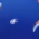 73649088035965221351878710353998637137811654022829798899370693910200512937985