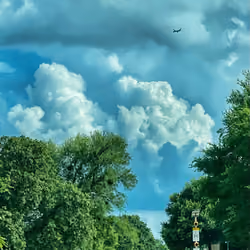 Plane Sight