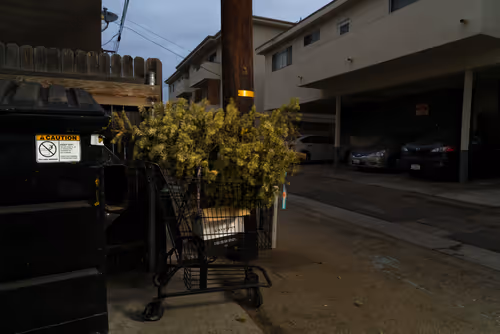 Item #97596376492587480991564299989885194485729582935183473269224319361873375920129 Media