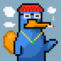 Platy Punk #1167