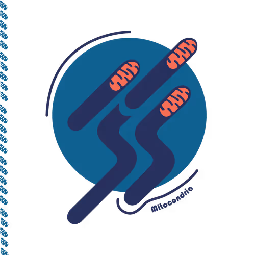 Item #28217420329942861487200254143315689988869562790284857015817128393099066736641 Media