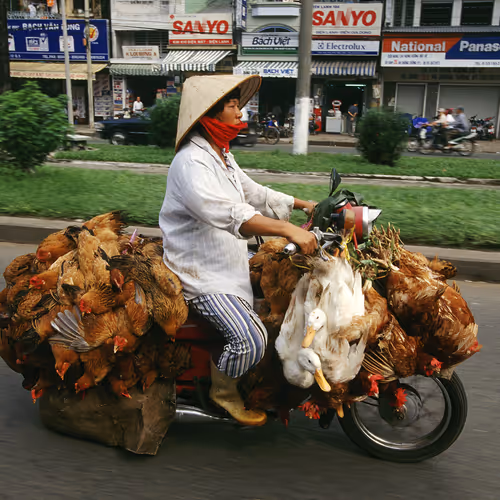 Bikes Of Burden