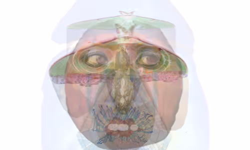 Item #495481811379815144822817045191940406025038668845752407780709899318792814593 Media