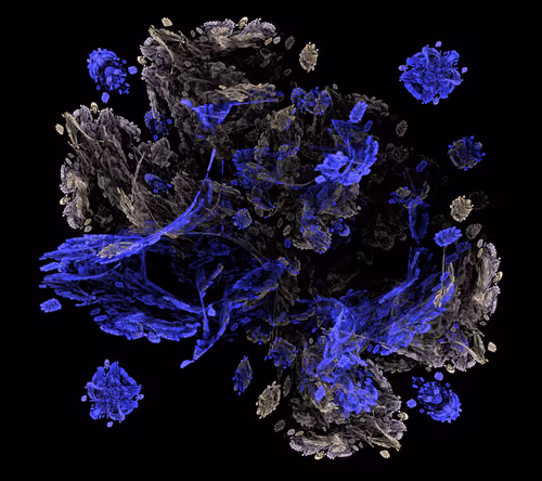 Item #67898462741112971508098919251534880081287383919432635706877648711121622794241 Media