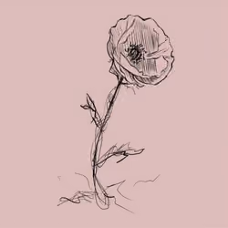 Flower by Snaij