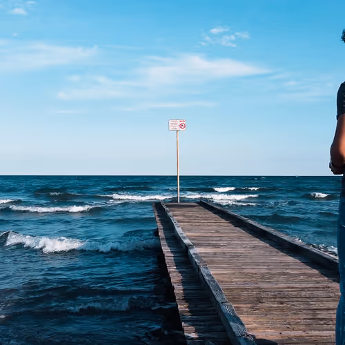 Untitled Collection #37812329