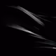 60576002746252885897387130570909740139052422622255687354120276090024173240321