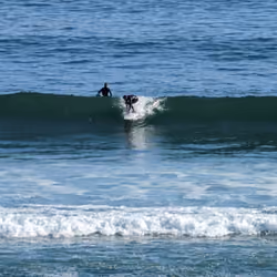 Drop In