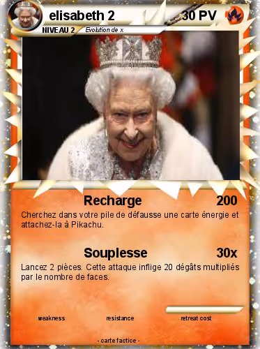 Mamounieze Collection