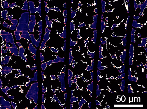 Item #88425369129469894980589771095889463825406609439564309002072926015895466147841 Media