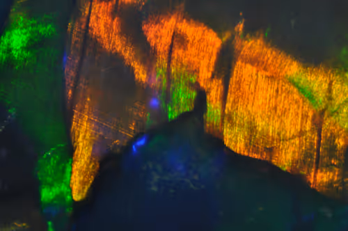 Item #21177589988234382907292029725280025606269119538694693414219510835505327505409 Media