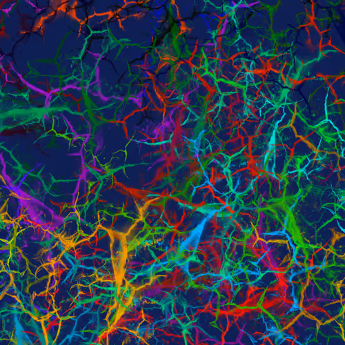 Item #50918555062582210159273167721725581522404743190091886750106034835514609106945 Media