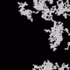 46443140435526123263349023868976142915031731050544552291035459369315472506881