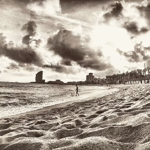 Untitled Collection #92889100