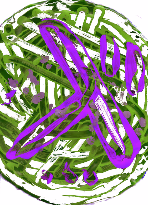 Item #77837778009088564188174628045169397065653229955612462896383265019803589410817 Media