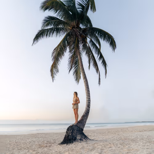 66194589098145771714541131276235575166397887892718389200878874109187050176513