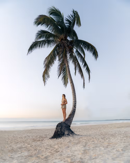 Item #66194589098145771714541131276235575166397887892718389200878874109187050176513 Media