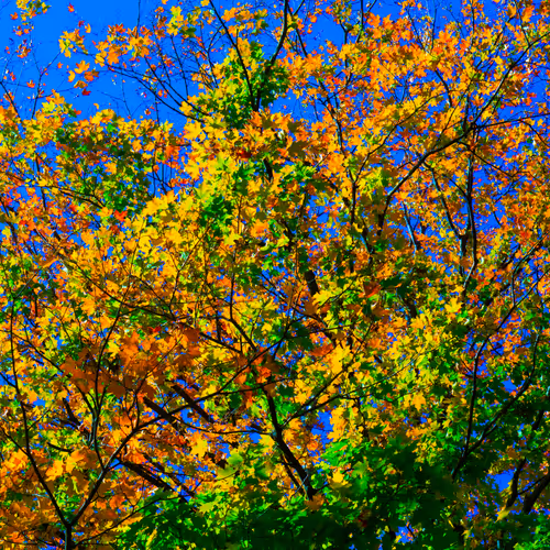 Item #35965218379738729691291467168286792303482134167127854404987491539406389510145 Media